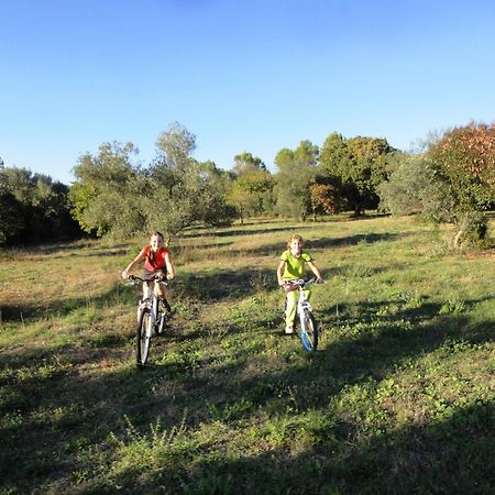 Appartamento Les Olives Uzès Esterno foto