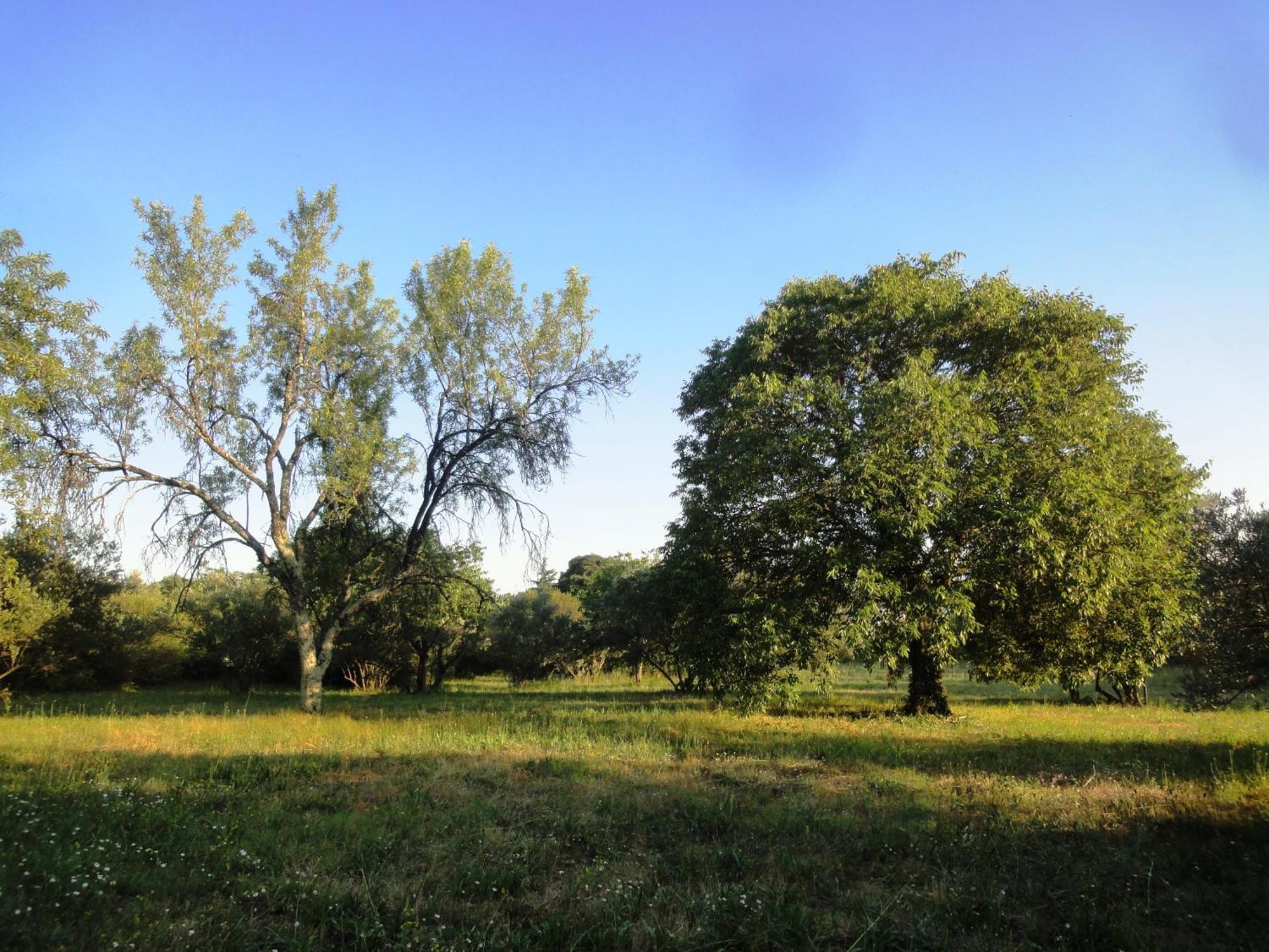 Appartamento Les Olives Uzès Esterno foto